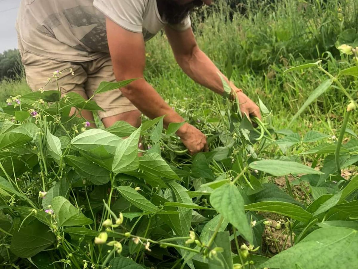 Photo du commerce