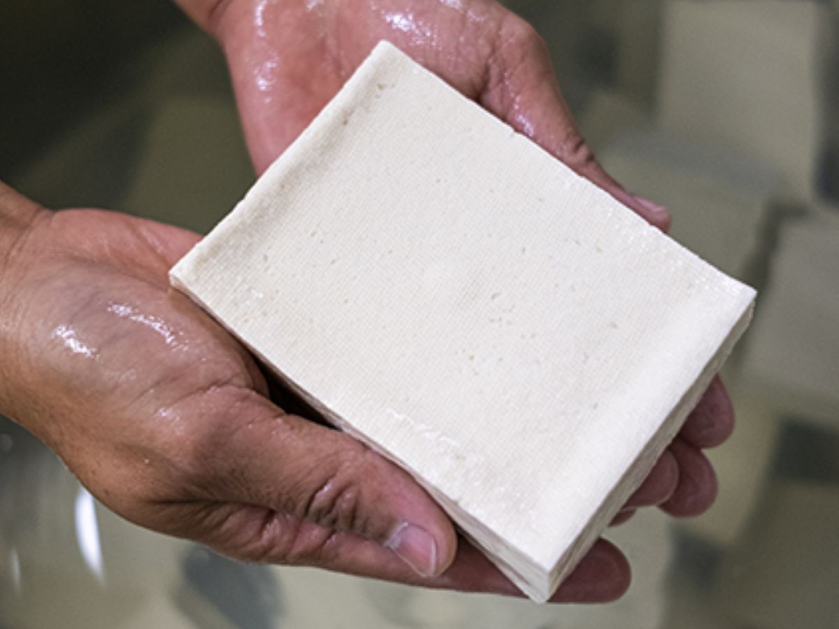 Tofu Suzu corpore sano