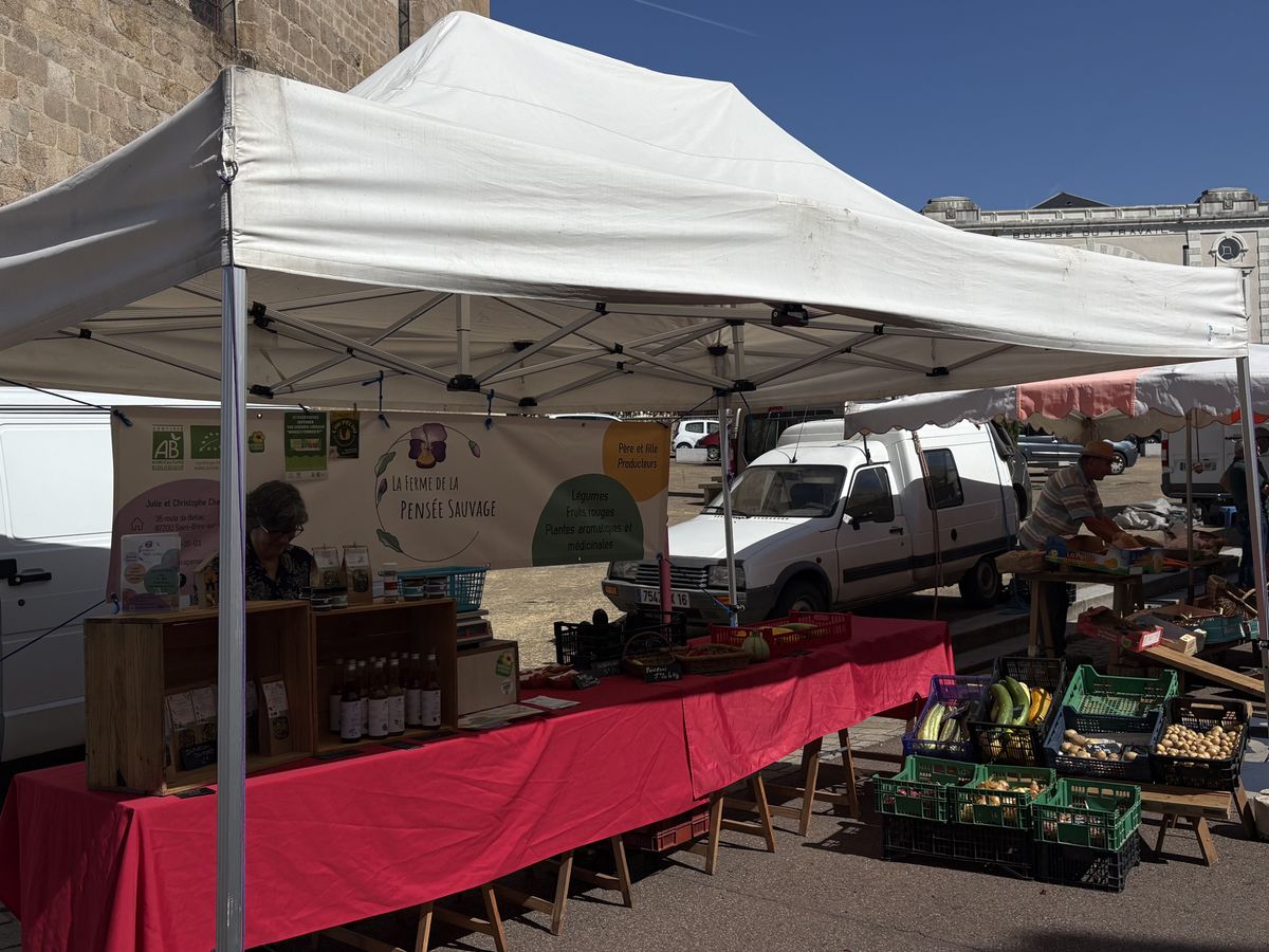 Ferme de la pensée sauvage légumes bio saint junien