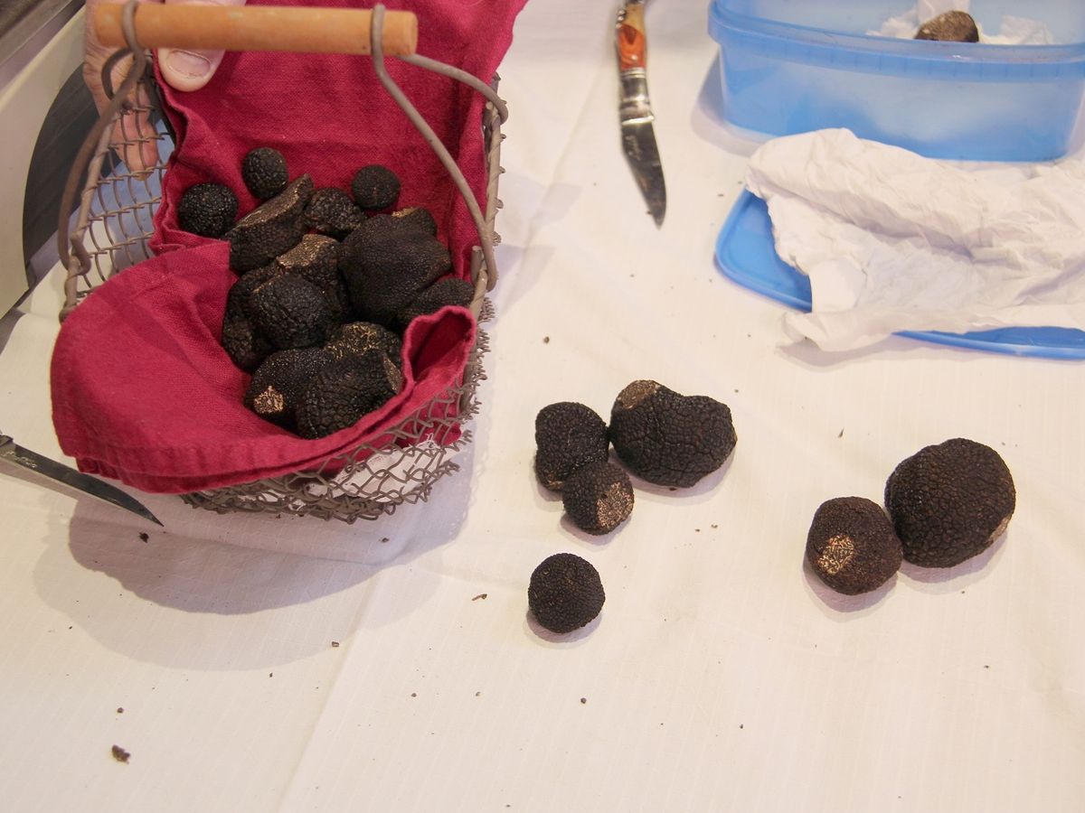 Truffes
