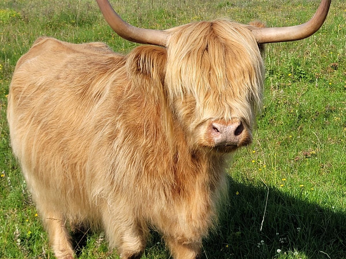 Ferme des annelles