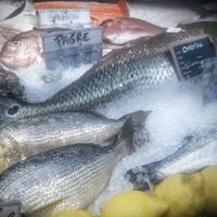 Poissons Le marché des Argonautes