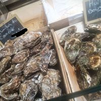 huitres Le marché des Argonautes