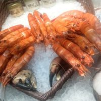 Fruits de mer Le marché des Argonautes