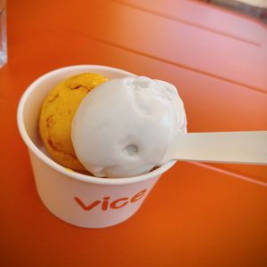 VICE 