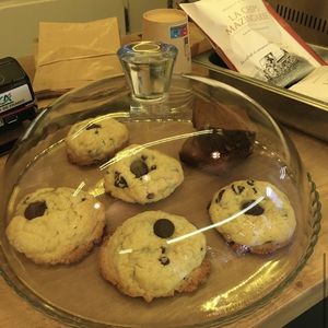 Graine de toast