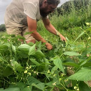 La terre ferme