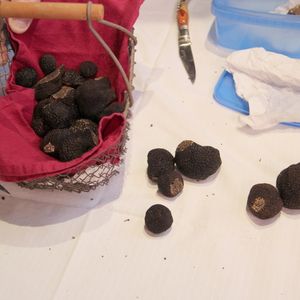 Truffes