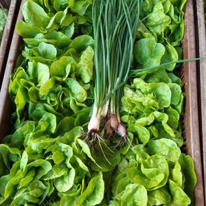 Aux légumes d'Illies