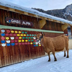 GAEC Alpin