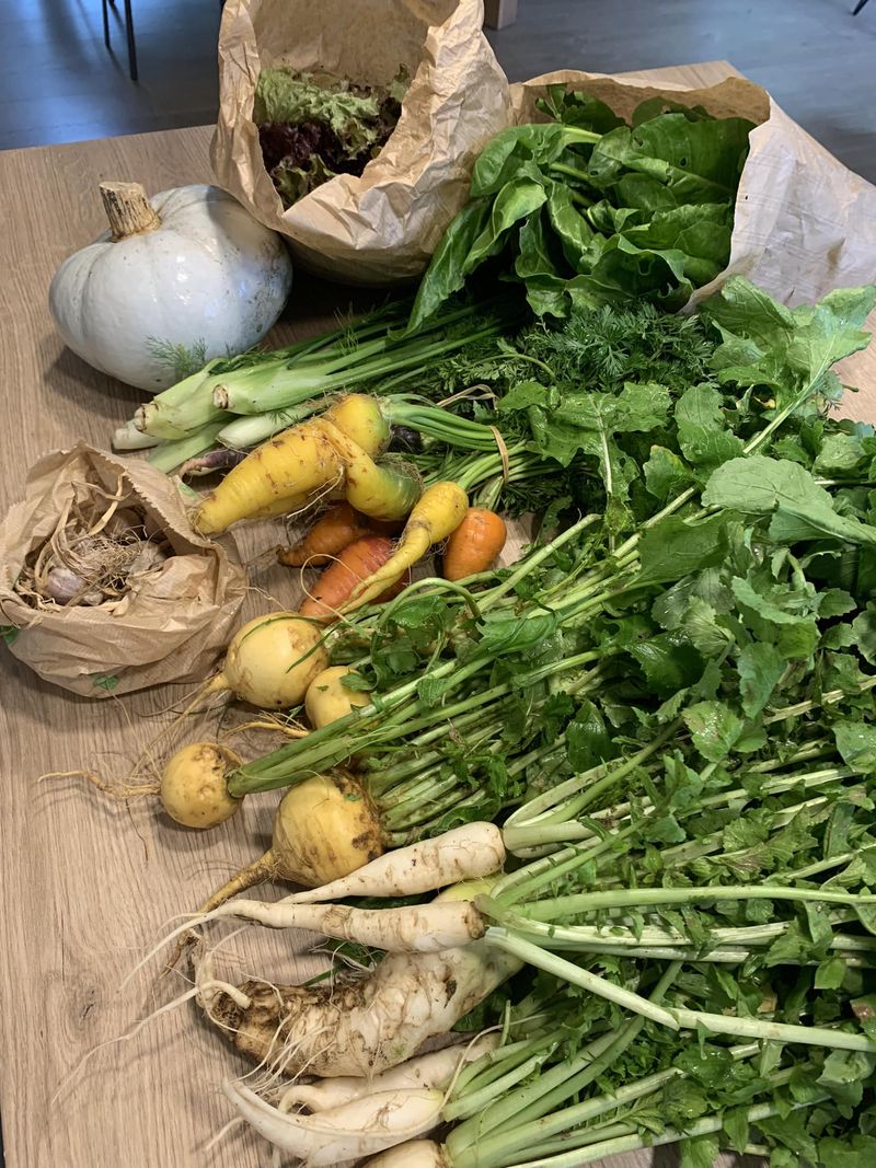 Légumes de saison par Les Festins de Julien