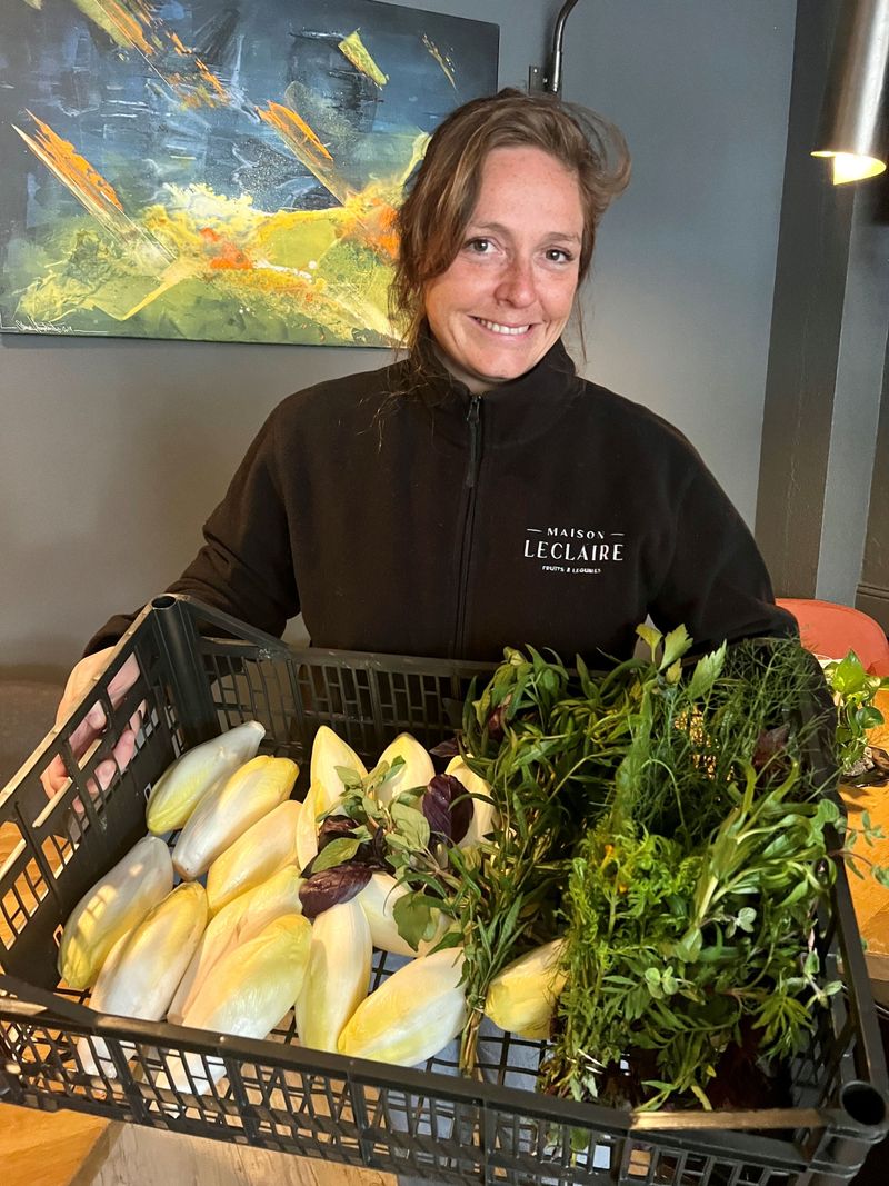Photo Claire Decraene : endives de la Maison Leclaire 