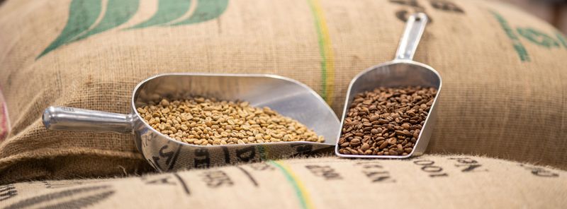 Grains de cafés avant et après torréfaction par Cloudforest à Lille