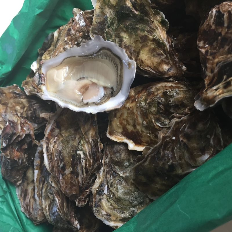 Photo : bourriche d'huîtres