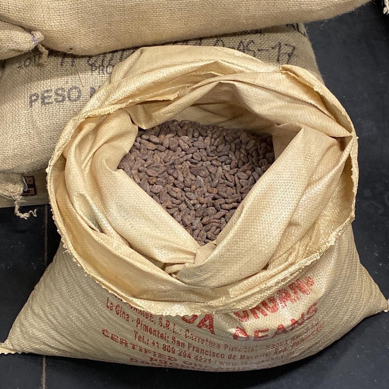 Fèves de cacao à la Manufacture de Chocolat Encuentro à Lille