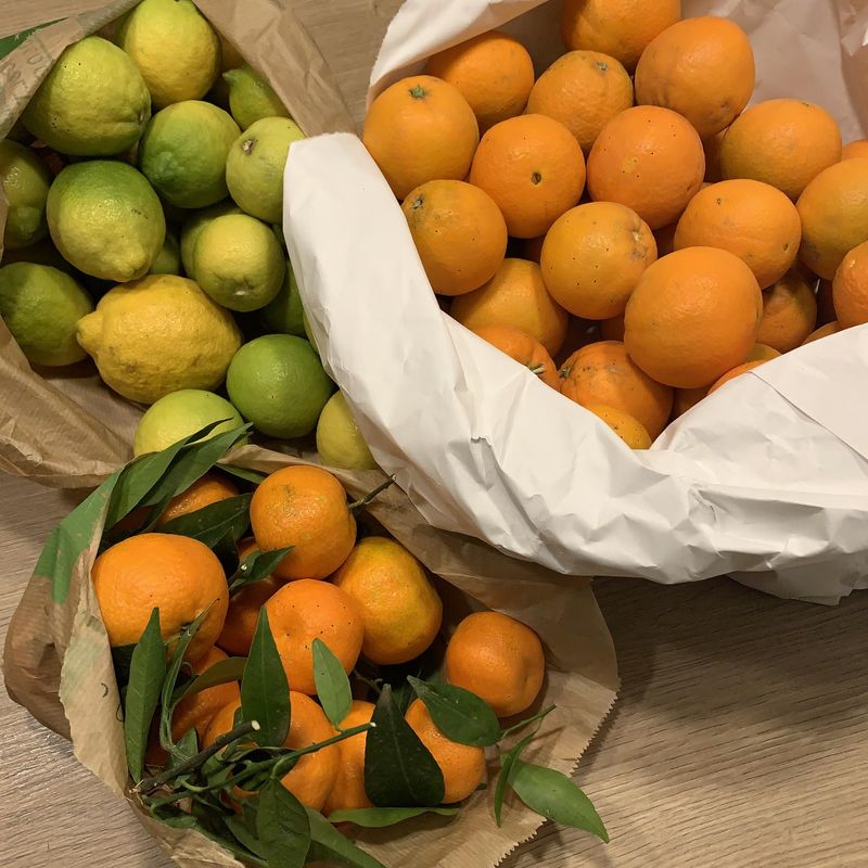Agrumes importés d'Italie par Les Festins de Julien
