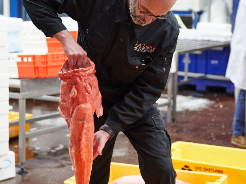 Arrivage frais journalier chez les artisans poissonniers de la métropole lilloise