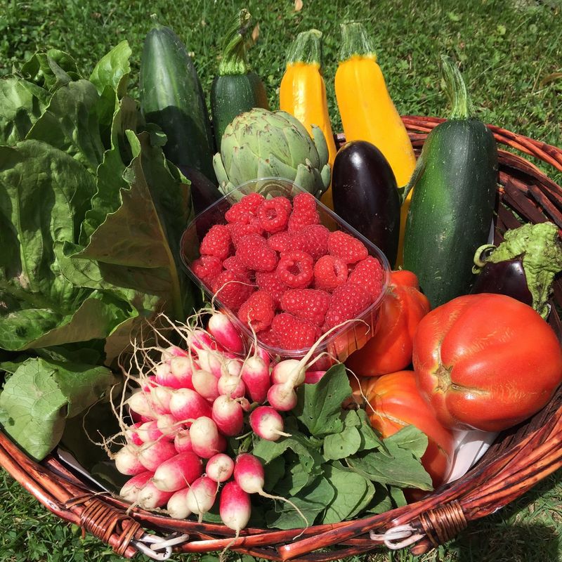 Panier de fruits et légumes en direct producteur