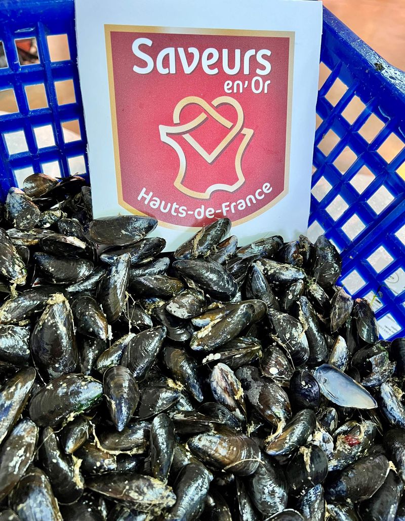 Photo Claire Decraene : moules de bouchot des deux Caps