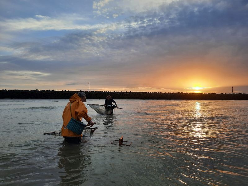 Photo Xavier Carton à Leffrinckoucke : pêche à la crevette