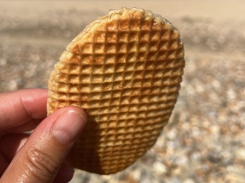 Photo : Gaufre fourrée du Nord