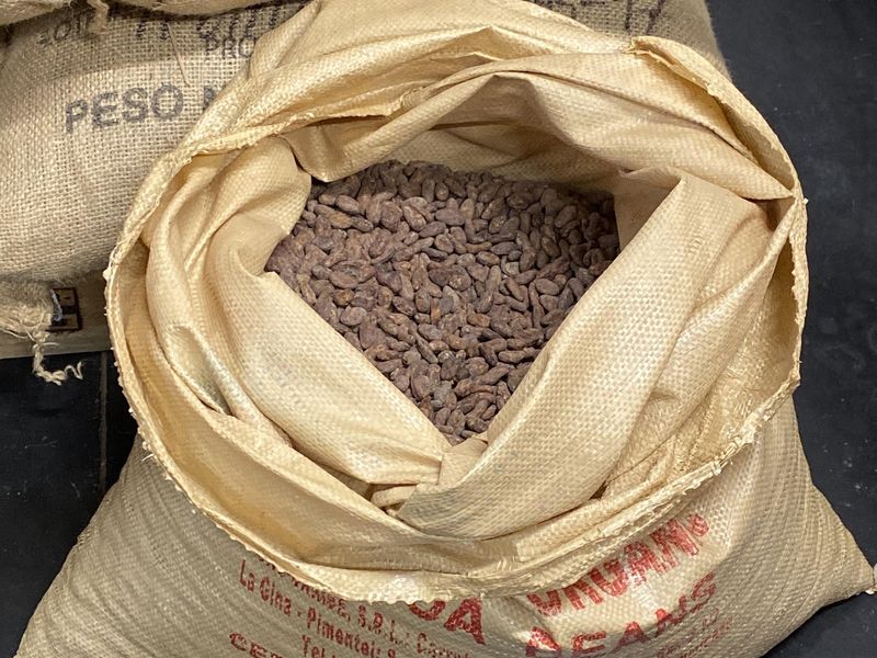 Fèves de cacao à la Manufacture de Chocolat Encuentro à Lille