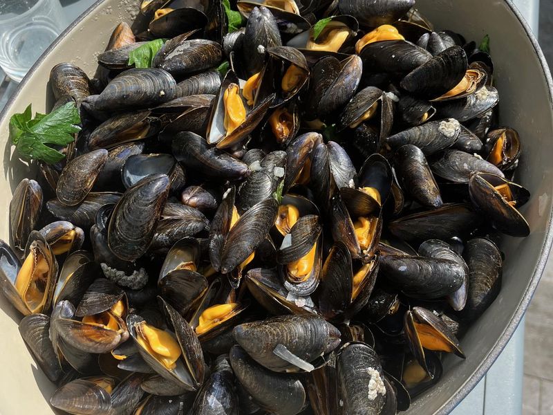 Photo : moules marinières à partager en famille
