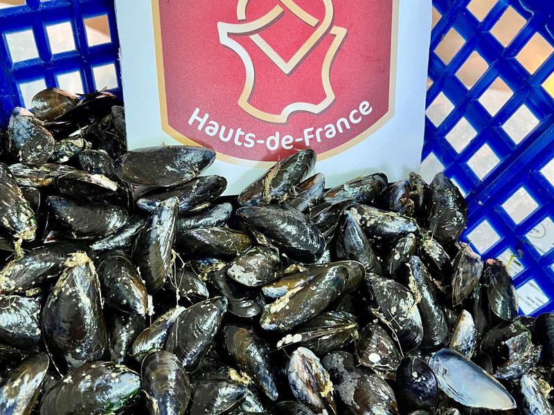 Photo Claire Decraene : moules de bouchot des deux Caps