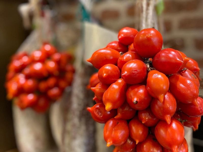 Grappes de tomates du Vésuve (Tomates Piennolo del Vesuvio DOP) Chez La  Bottega