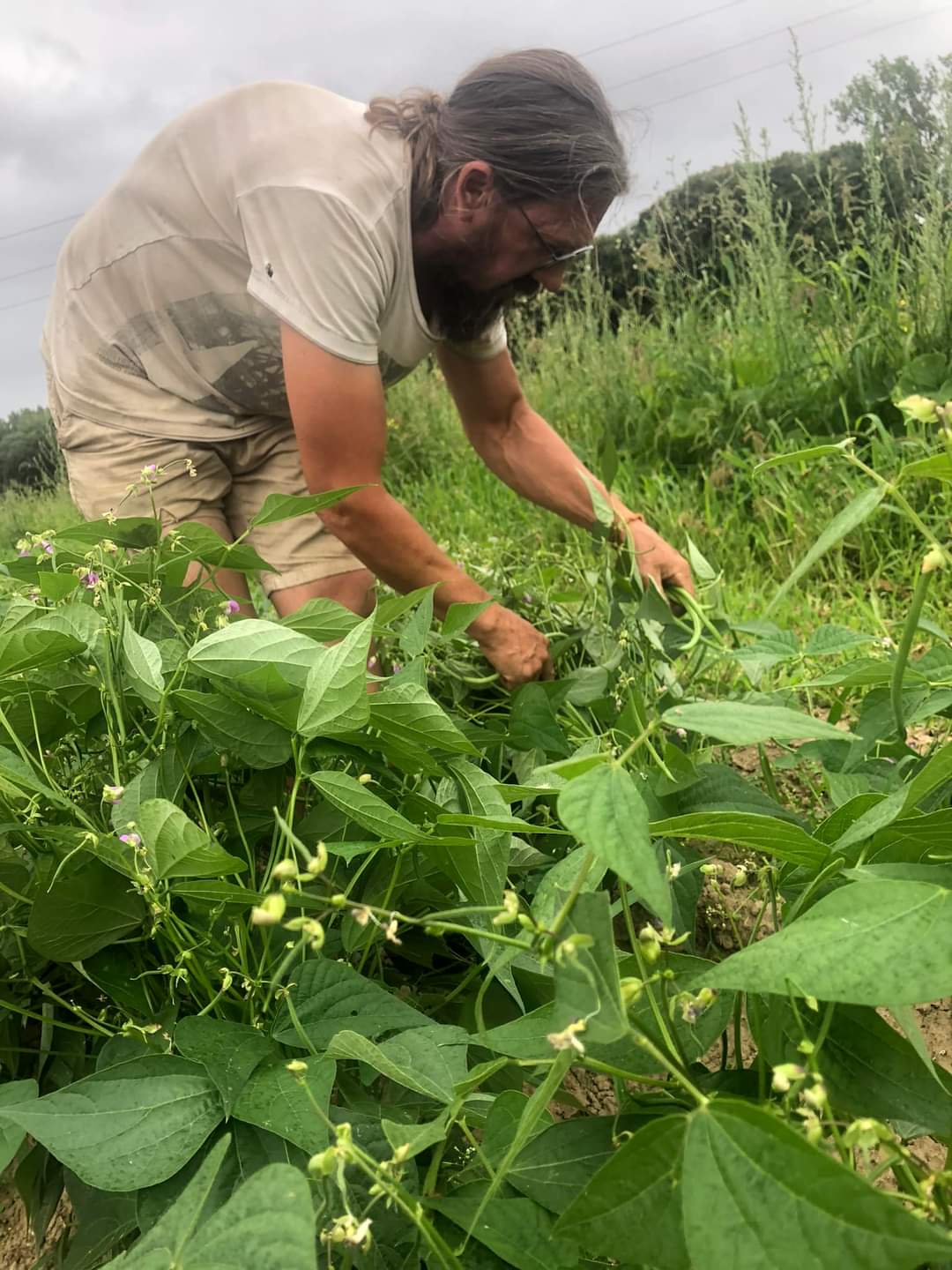 La terre ferme