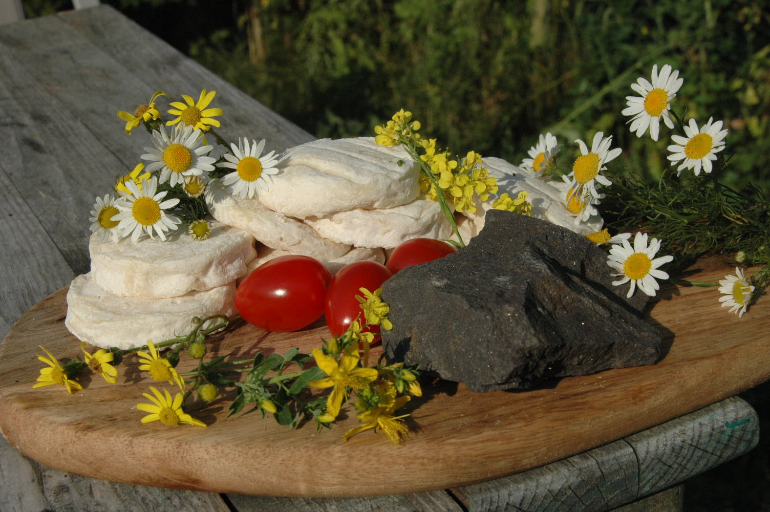 Les Chevrettes du Terril