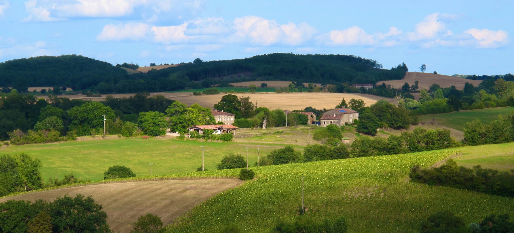 Les jardins de Roquevidal