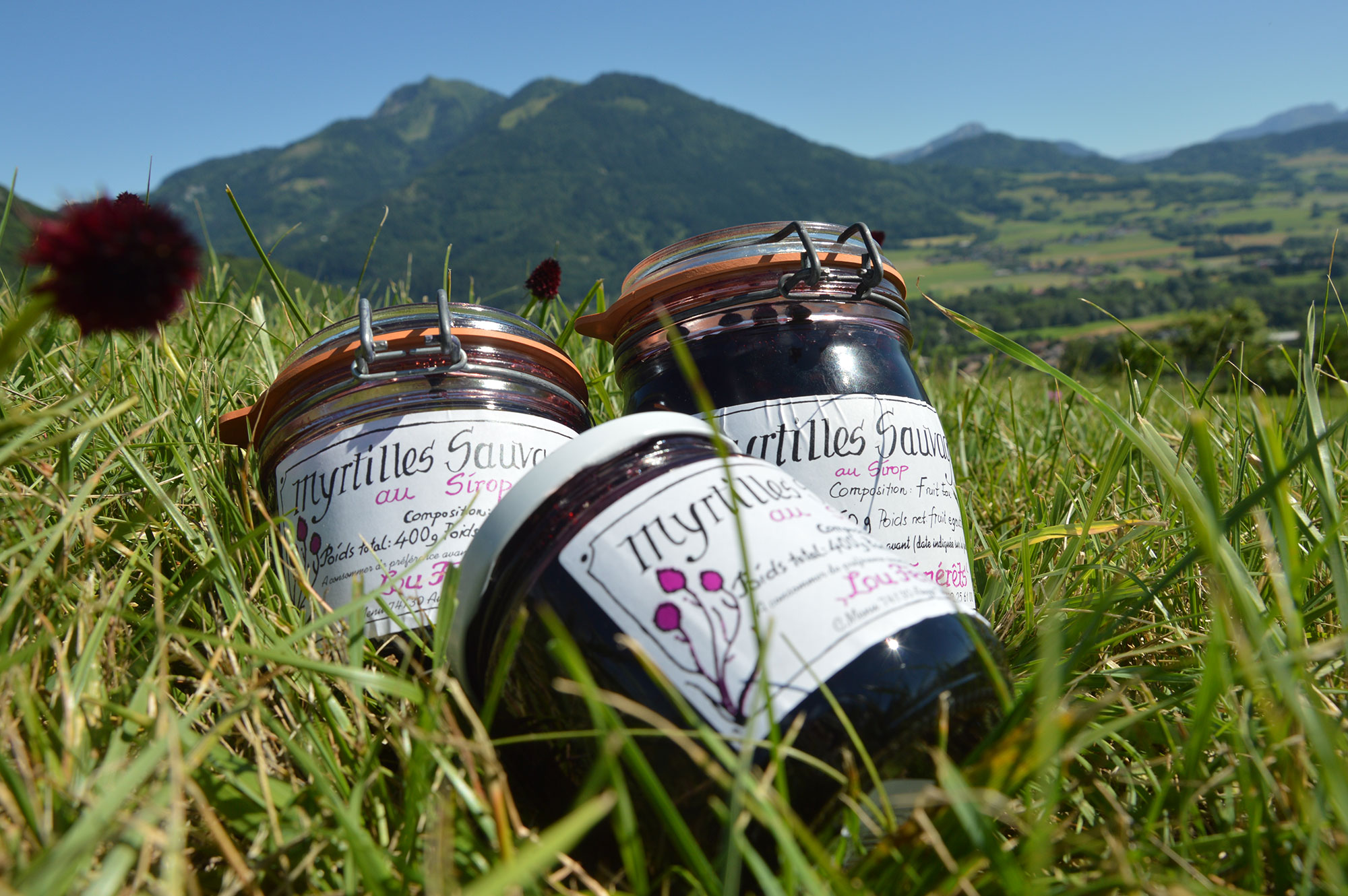 Confiture Du Pays - Confiture Artisanale
