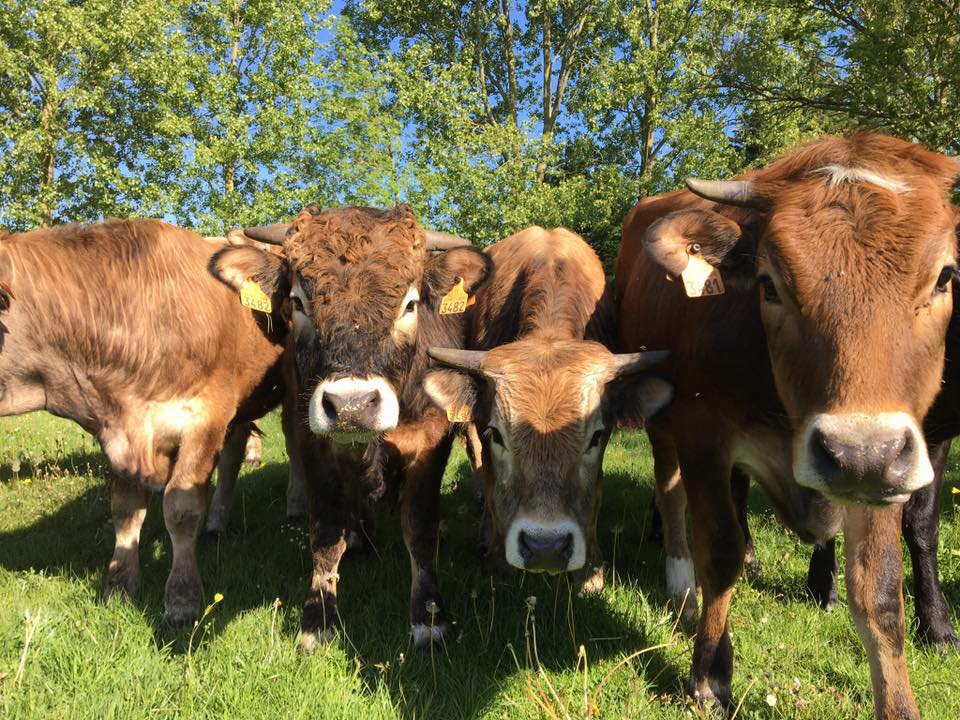 La ferme du petit bas champ