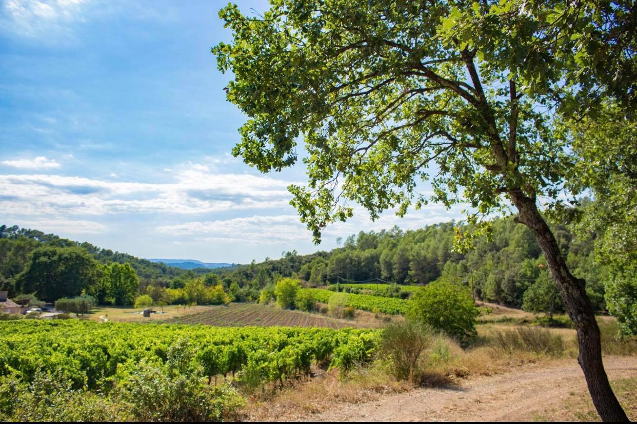 Domaine des Mapliers