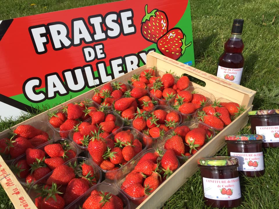 Les fraises de caullery