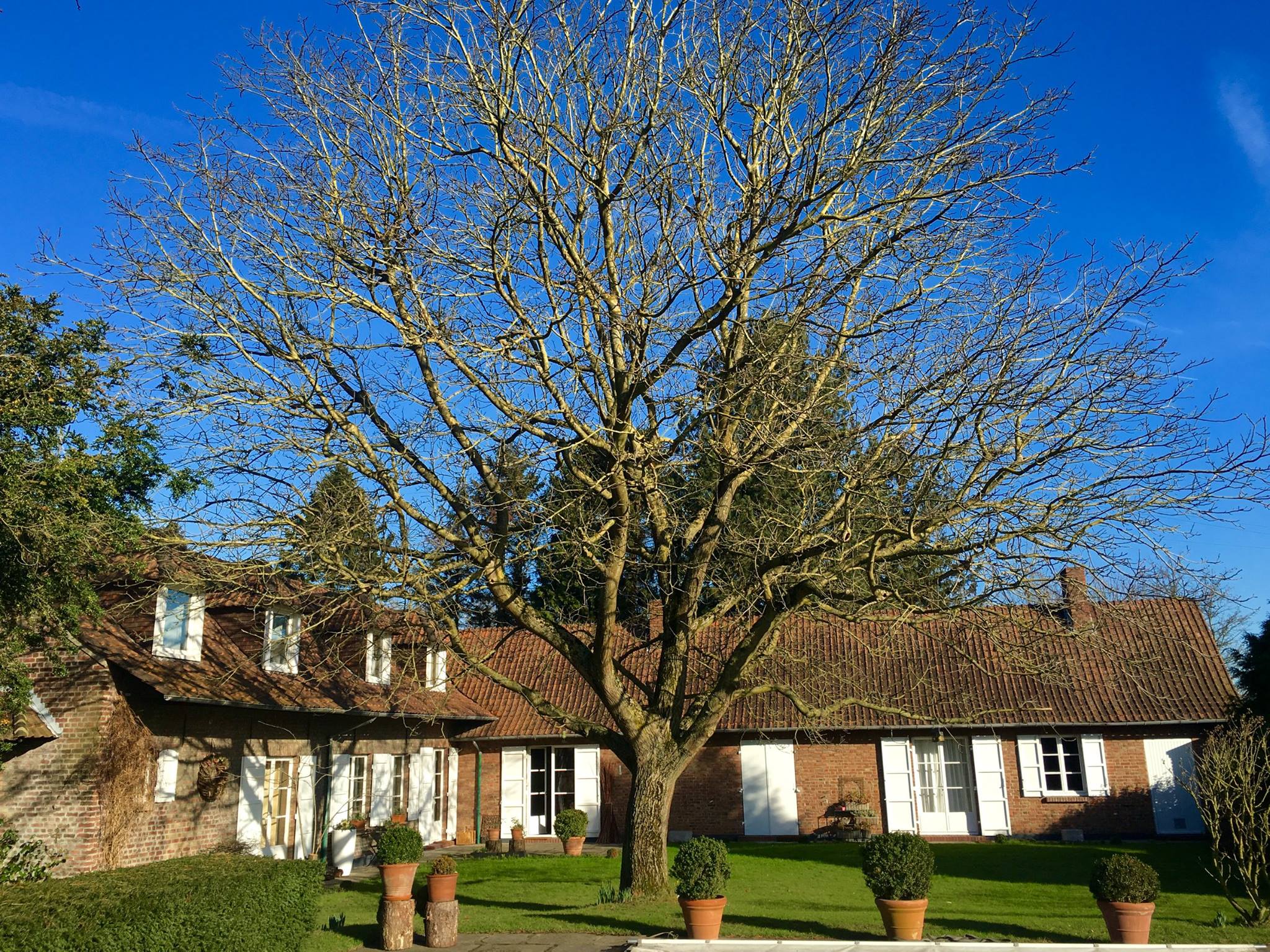 Le Clos de Bénédicte, chambre d'hôtes à Bondues