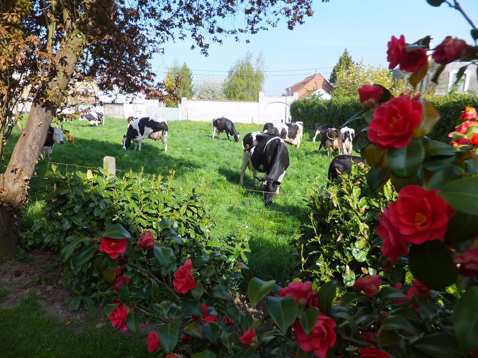 Ferme Duthoit