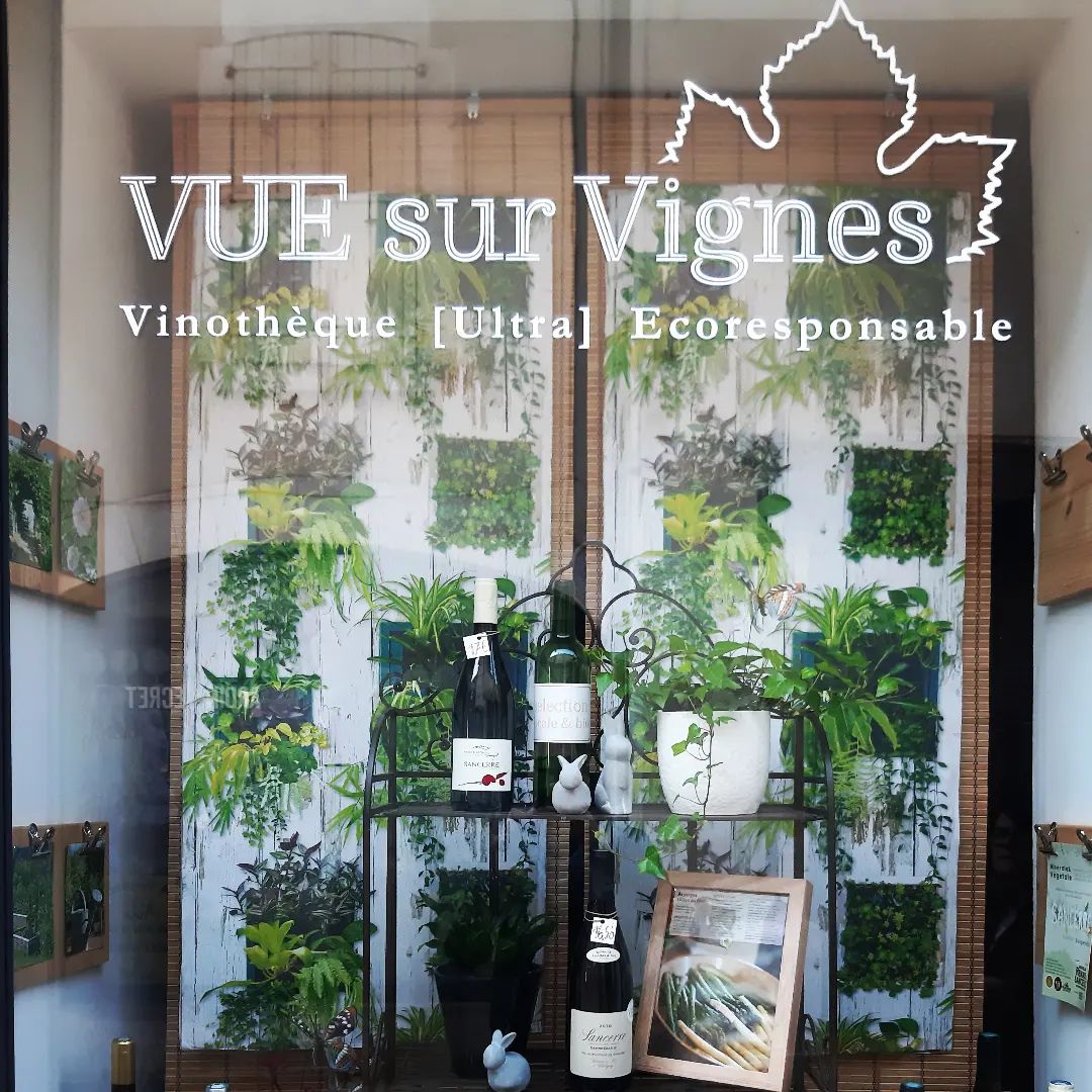VUE sur Vignes