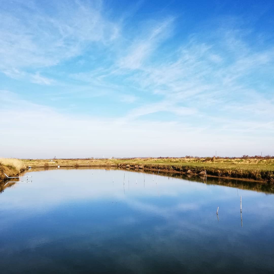 Claires de la Ferme Marine d'Artouan en charente maritime