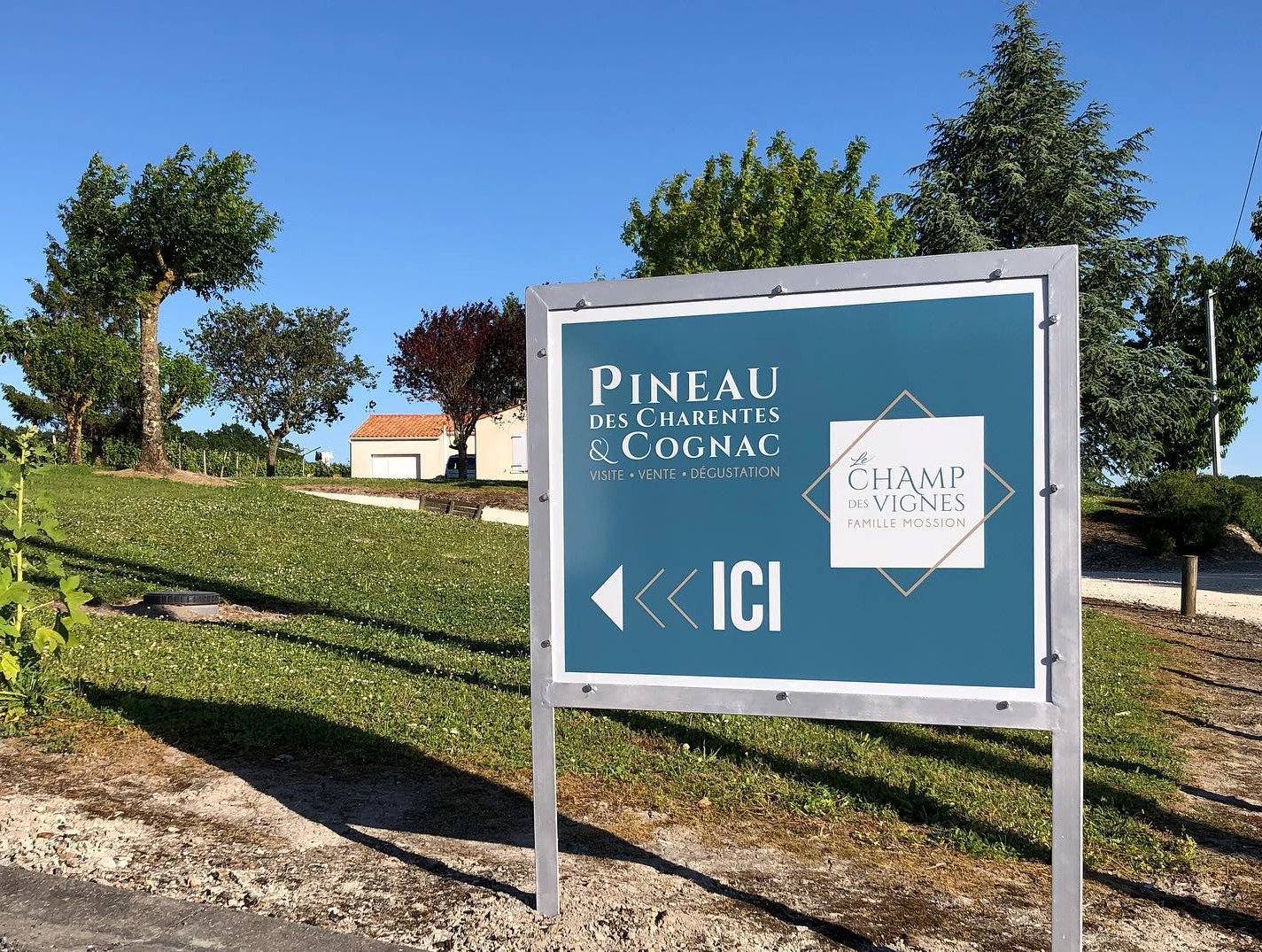 Le champ des vignes