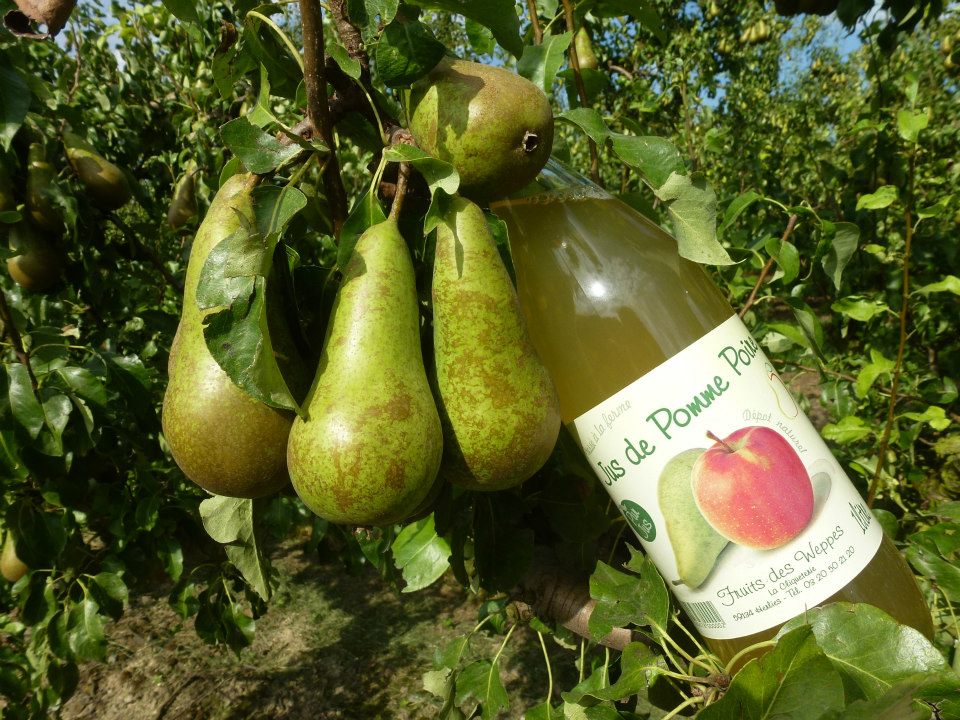 Fruits des Weppes