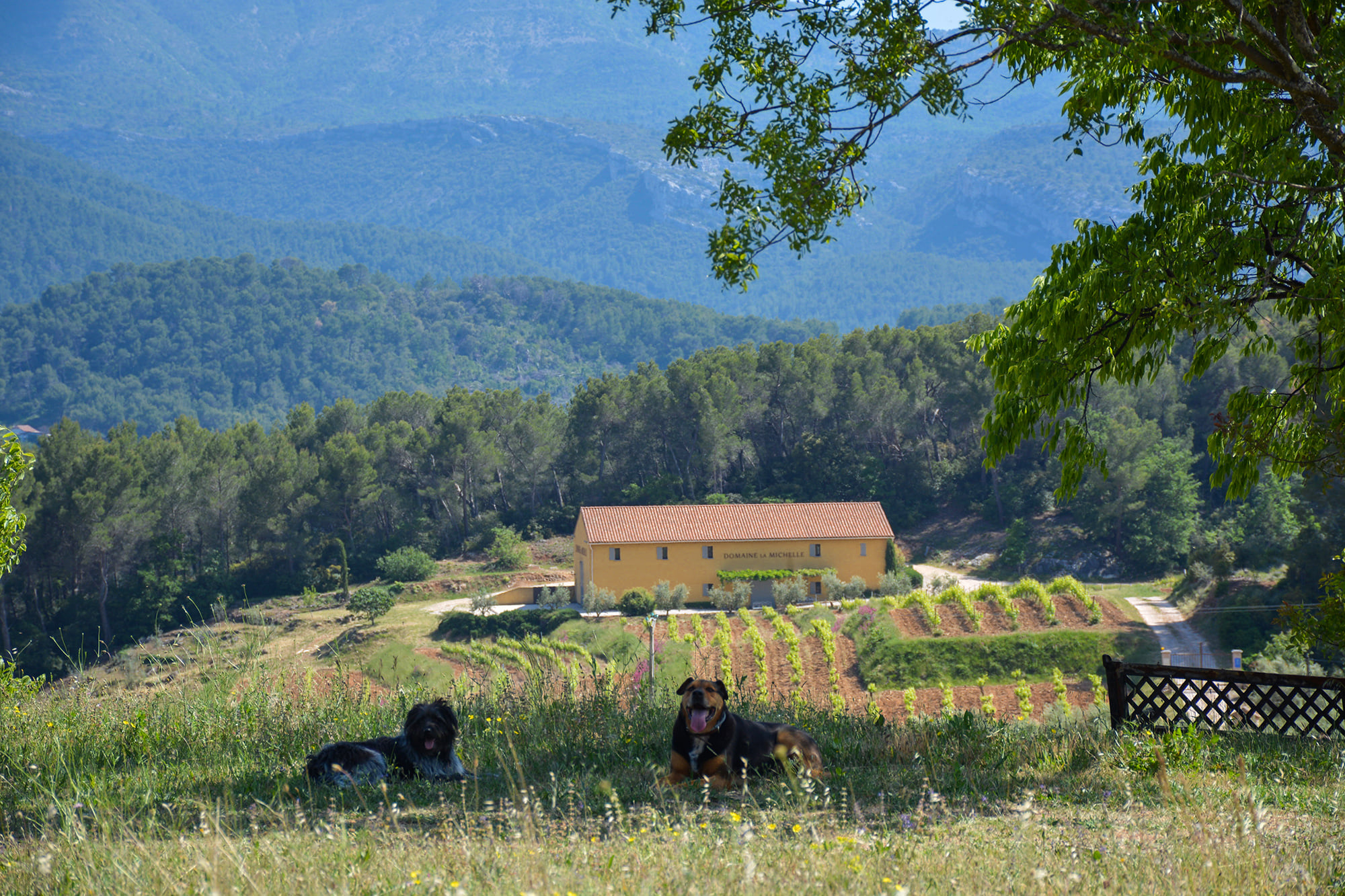 Domaine la Michelle