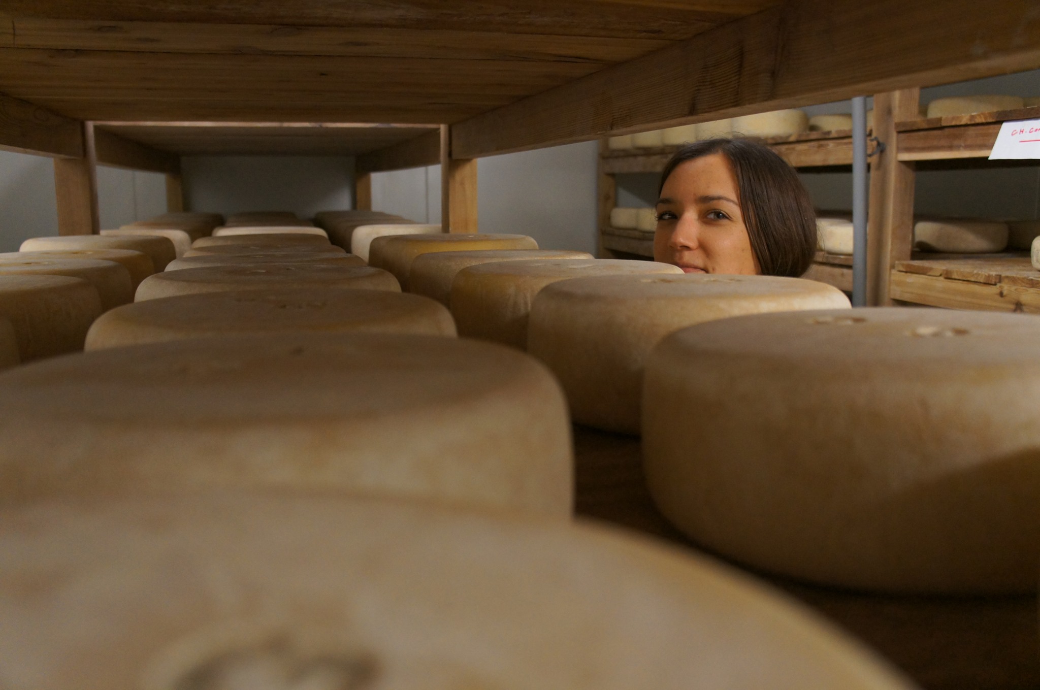 Envies de brebis, fromagerie à Aucamville