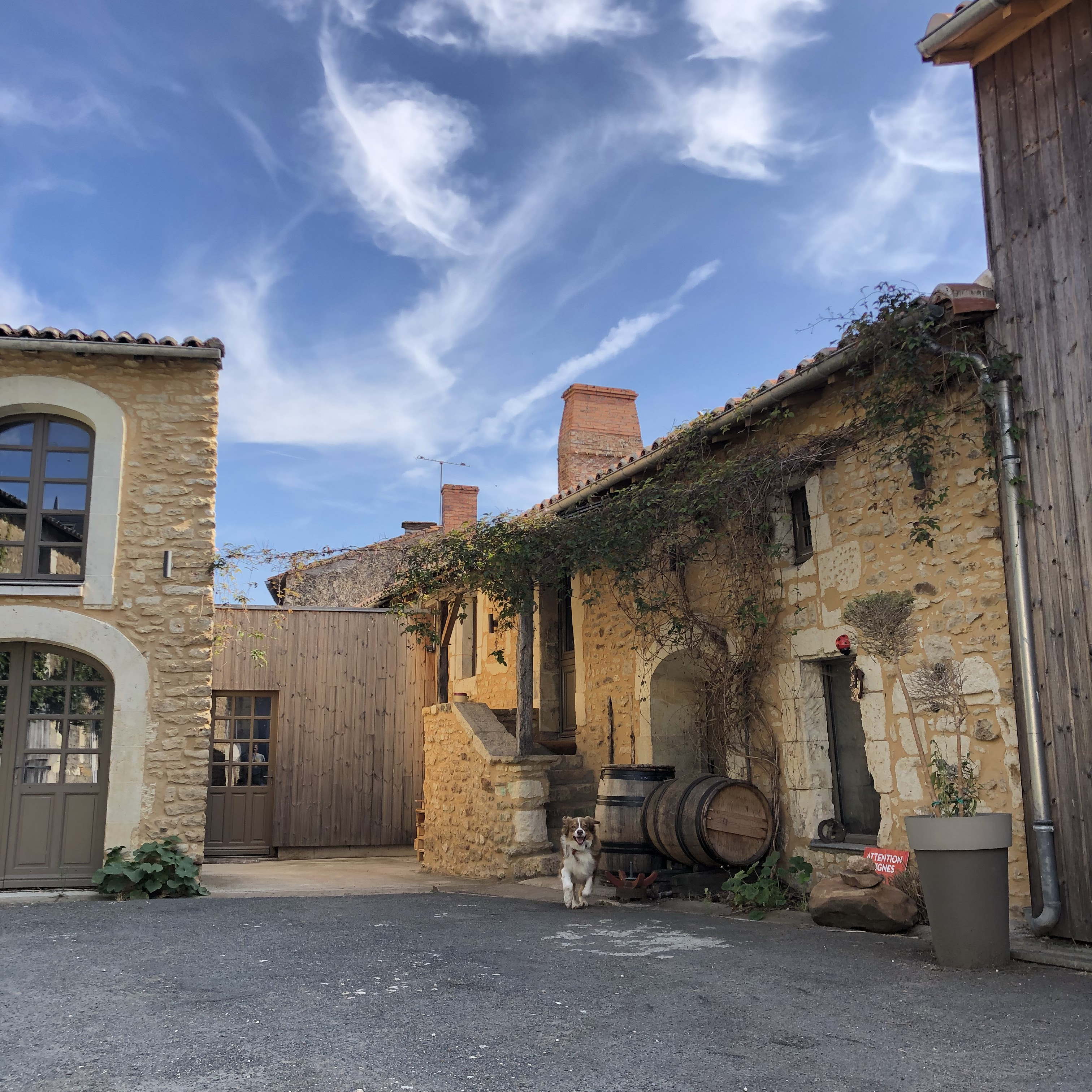 Domaine des Terres blanches