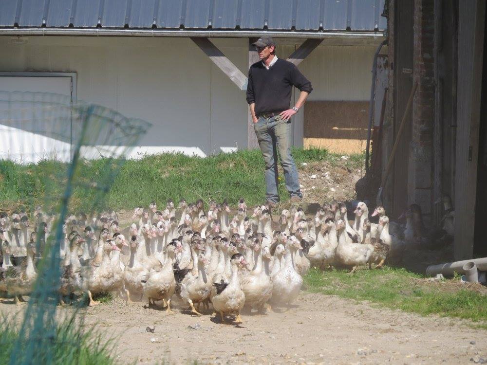 la ferme du colombier