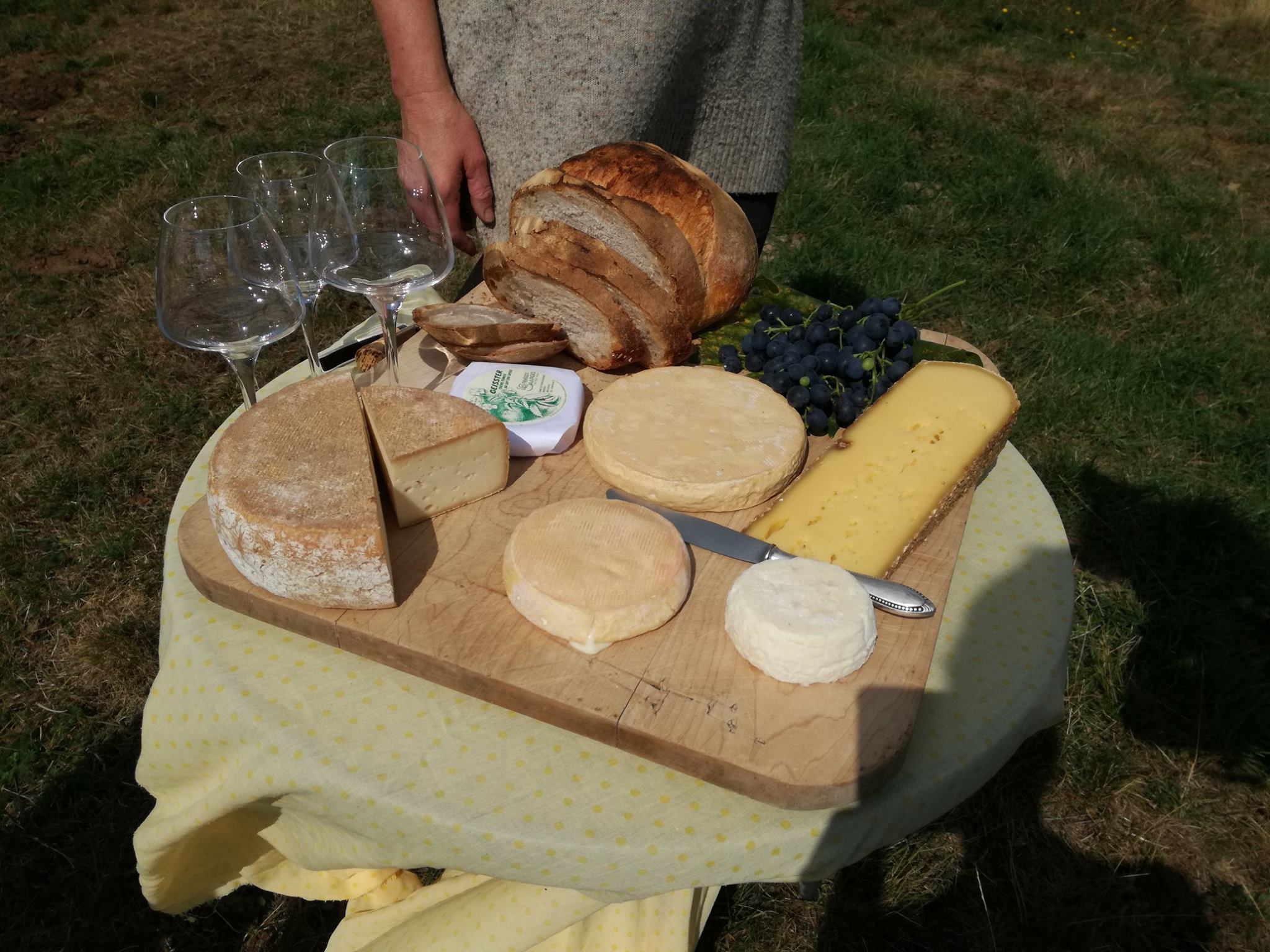 Ferme des pensées sauvages