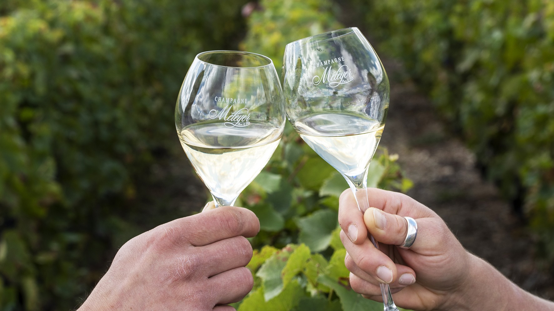Vigneron Champagne Méteyer père et fils