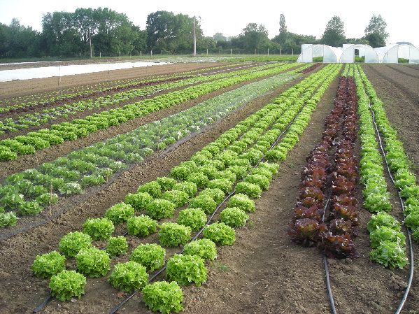 Le Jardin de Busnes