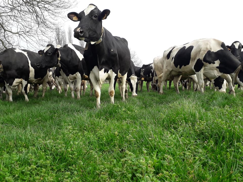 La Ferme des Quatre Vents
